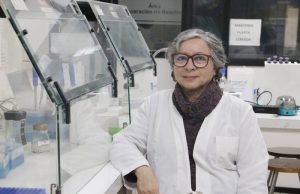 Innovador probiótico contra Helicobacter pylori