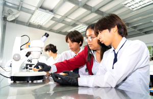 Gobierno abre inscripciones para cursos gratuitos de formación docente