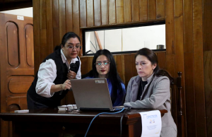 CNE socializó nuevo sistema para control de campañas electorales