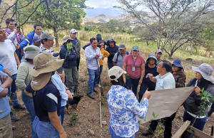 MAGP impulsa sistemas agroforestales en Catamayo