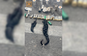 CONAIE denuncia «Agr3sión racista y colonial» contra jóvenes kichwas durante paro nacional