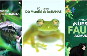 El agua no viene del grifo: una campaña para revalorizar las áreas de conservación de agua