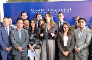 ADN no dio paso a la fiscalización de bonos entregados por el Gobierno