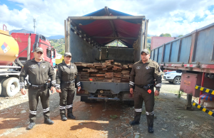 Policía del Medio Ambiente retiene automotor con producto forestal