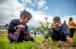 Huertos escolares fortalecen la educación ambiental