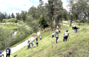 Se plantaron 300 especies en el parque Carigán