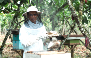Nestlé Ecuador impulsa soluciones sostenibles para mitigar el calentamiento global