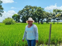 Más de 2 millones de mujeres impulsan el agro ecuatoriano: el liderazgo femenino que transforma la agricultura del país