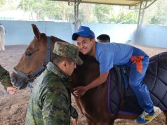 45 usuarios del Centro Diurno de Desarrollo Integral para Personas con Discapacidad en Loja reciben hipoterapia y caninoterapia