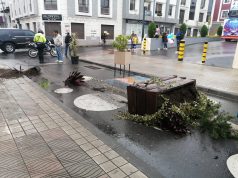 Destruyen mobiliario urbano de la calle Rocafuerte